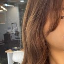 노디헤어(Nodi hair)