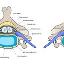 24시알파동물메디컬센터 이미지