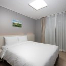 솔라고 명동 이미지