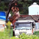 박찬호농장 이미지