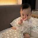 아기 두상베개 추천｜니노필로우 중간사용기 (동글동글해진 두상 변화 후기)