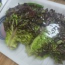 계룡더파크포레 네이버블로그
