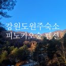 피노키오 | 강원도 원주 여행 원주 숙소 추천 피노키오숲 올인클루시브 후기