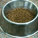 개밥그릇 이미지