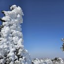 태백산국립공원 태백산 이미지