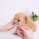 키즈멍 안양본점 이미지