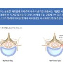 서울시원의원