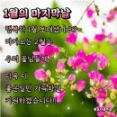 달맞이 흑두부 네이버블로그