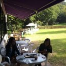 오마이독(oh my dog) 이미지