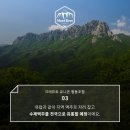 크래프트유니온협동조합 네이버블로그