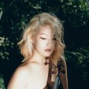 바이올린 이미지