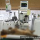 헬리오동물병원 이미지