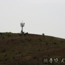게스하우스