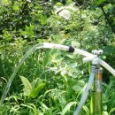 월천농장 이미지