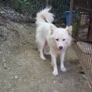 자룡농장 이미지