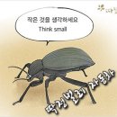 따뜻한 하루[77] ■ 딱정벌레 자동차 이미지