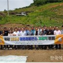 일동태양광발전소 네이버블로그