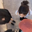 스시판다 이미지