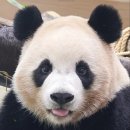 한화금융센터-서초 | [W.01] 삼성금융캠퍼스 웨딩 예약 성공 후기 -포기하지 않는 자에게 성공이!