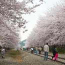 목련세탁 이미지