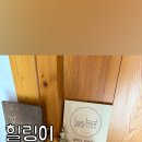 요가;늘보