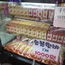 달콩아지트