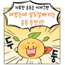 제일점핑다이어트
