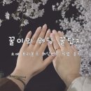 모티브하우스주 | 동탄 쇼메 웨딩 밴드 픽업 | 트리옹프 실물 느낌, 사이즈, 착용감 솔직 리뷰 한 달 사용 후기
