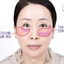 안언니
