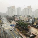 한라 합기도 이미지