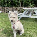 승에너지 이미지