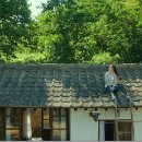 리틀포레스트 이미지