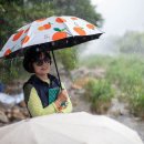 송민주 Daum카페