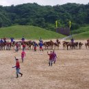 제주 더마파크 공연 영상 (2017.7.14-16) 이미지