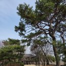 죽동2리 마을회관 | 유배지여행] 단종애사대군길 금성대군 혈석을 모셨던 죽동성황당(금성대군당) 부부인당府夫人堂과 봉서루