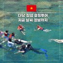 베트남 다낭 참섬 호핑투어 씨워킹 가격 추천 지금 날씨 8월 9월