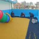 신수어린이집 놀이터 이미지