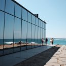 더몽상드 이미지