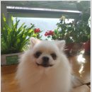 개토피아 이미지