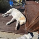 실라마실1 이미지