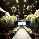 그레이스하우스 이미지