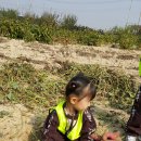 송죽농장 이미지