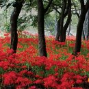 수채화(본관) 이미지