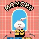 맘츄 | 부산애견미용 어디가 괜찮을까? 동래애견미용 맘츄 후기 정리