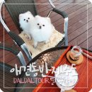 달봉카페 네이버블로그