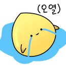 동광초교 병설유치원 이미지