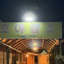 호야암소한마리 이미지