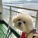 제주호가민박 이미지