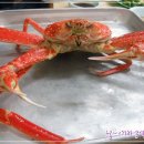 유달식당