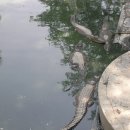 하마농장 이미지